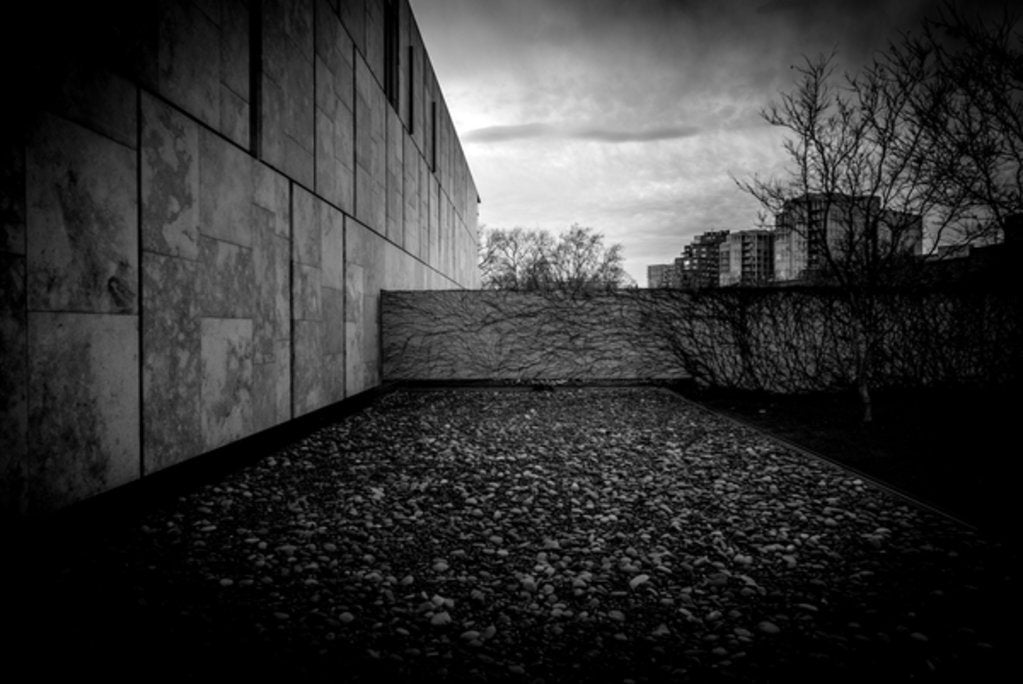 Detail of Barnes Foundation Nº2, 2017 by Guilherme Pontes