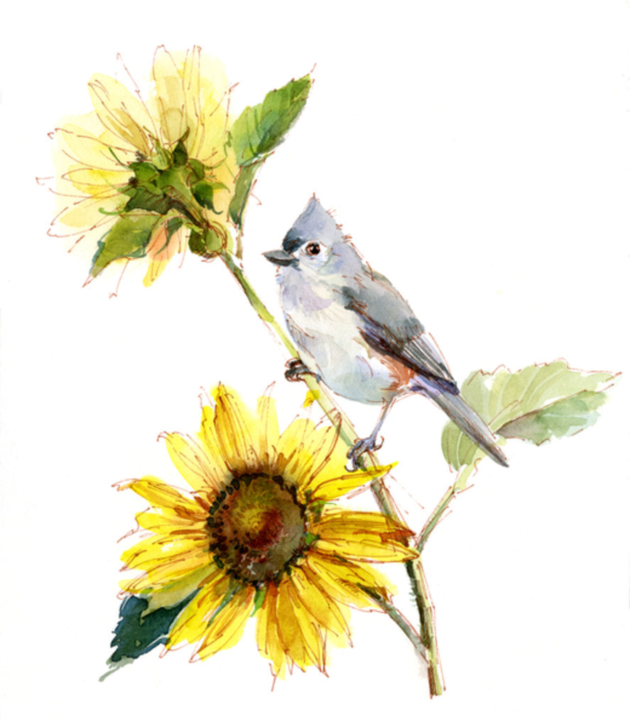 Detail of Titmouse with Sunflower, 2016 by John Keeling