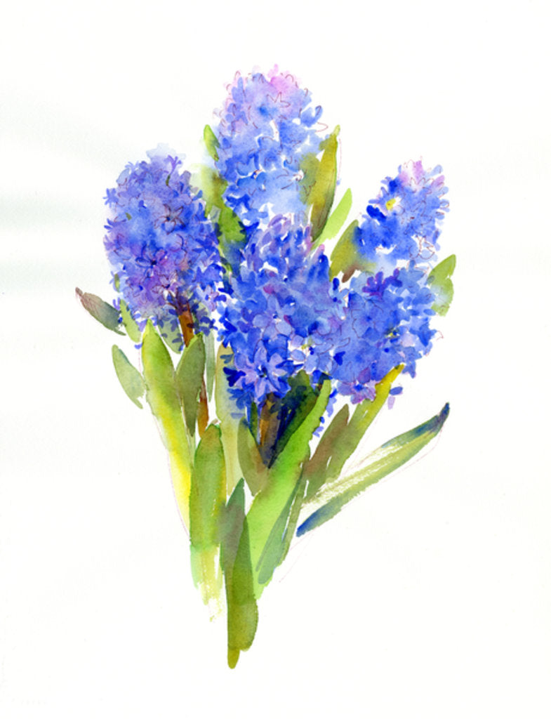 Detail of Blue Hyacinth, 2014 by John Keeling