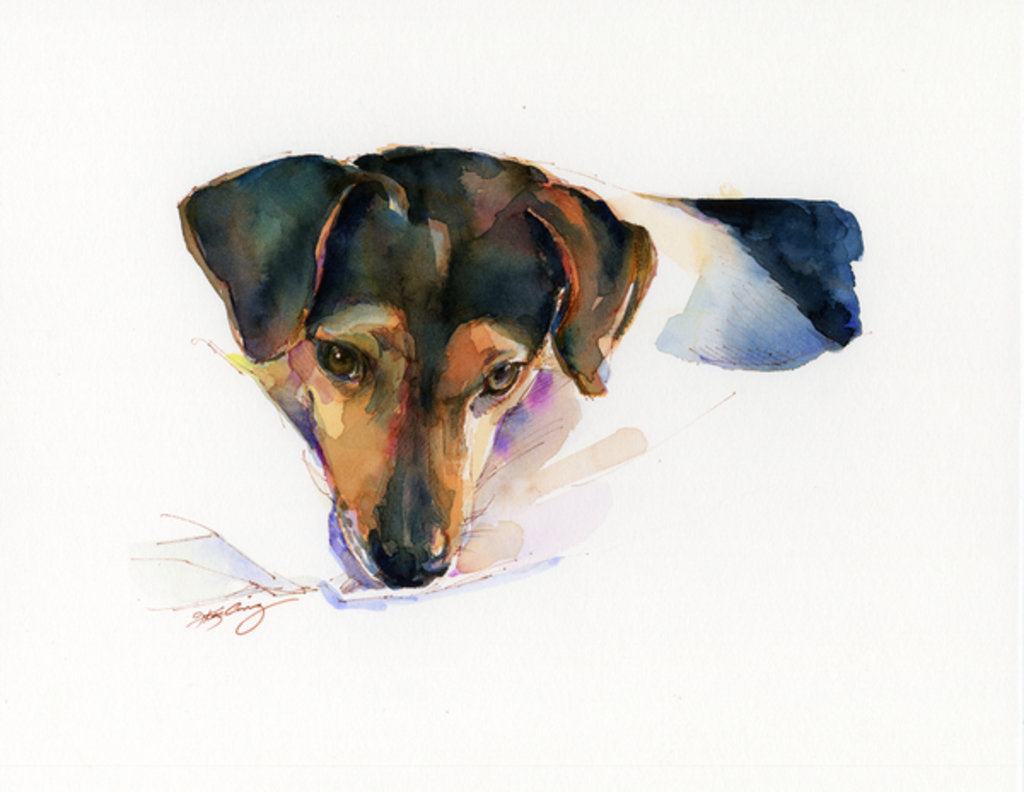 Detail of Scout portrait, 2015 by John Keeling