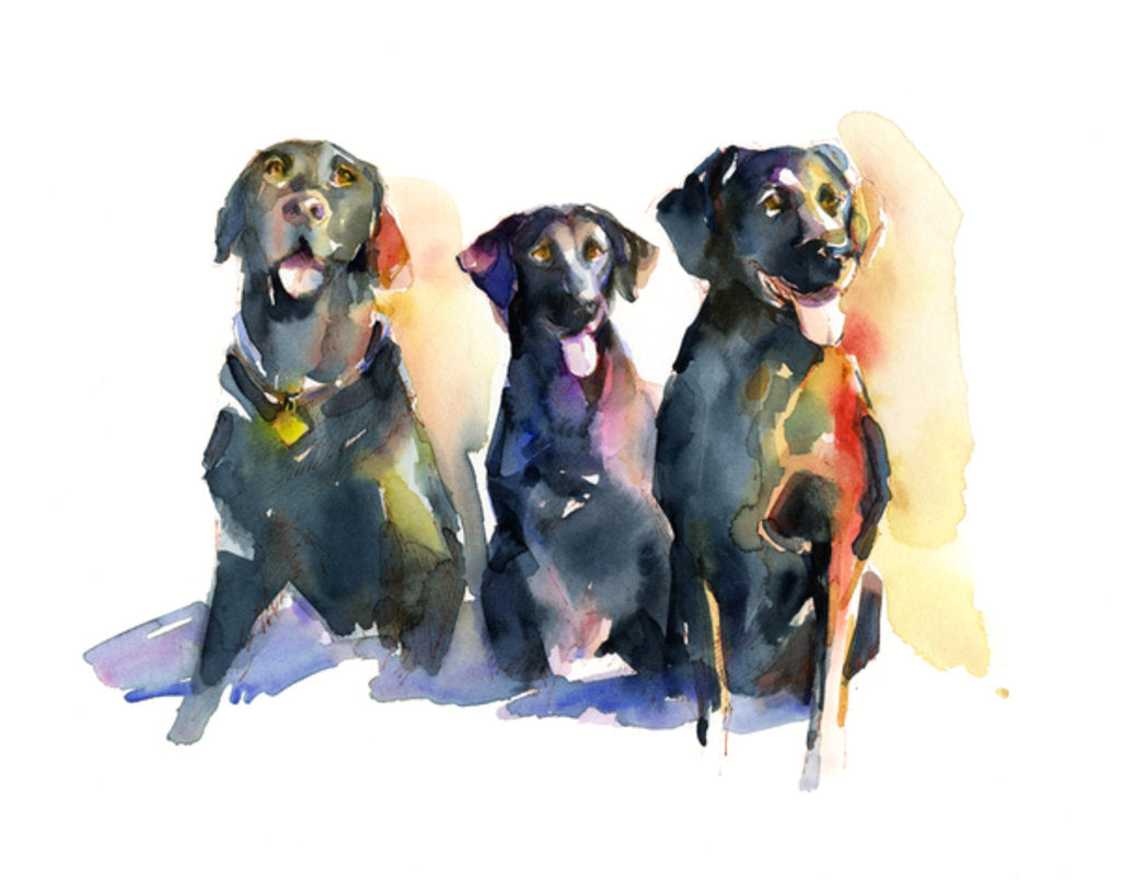 Detail of Three Black Labs, 2015 by John Keeling