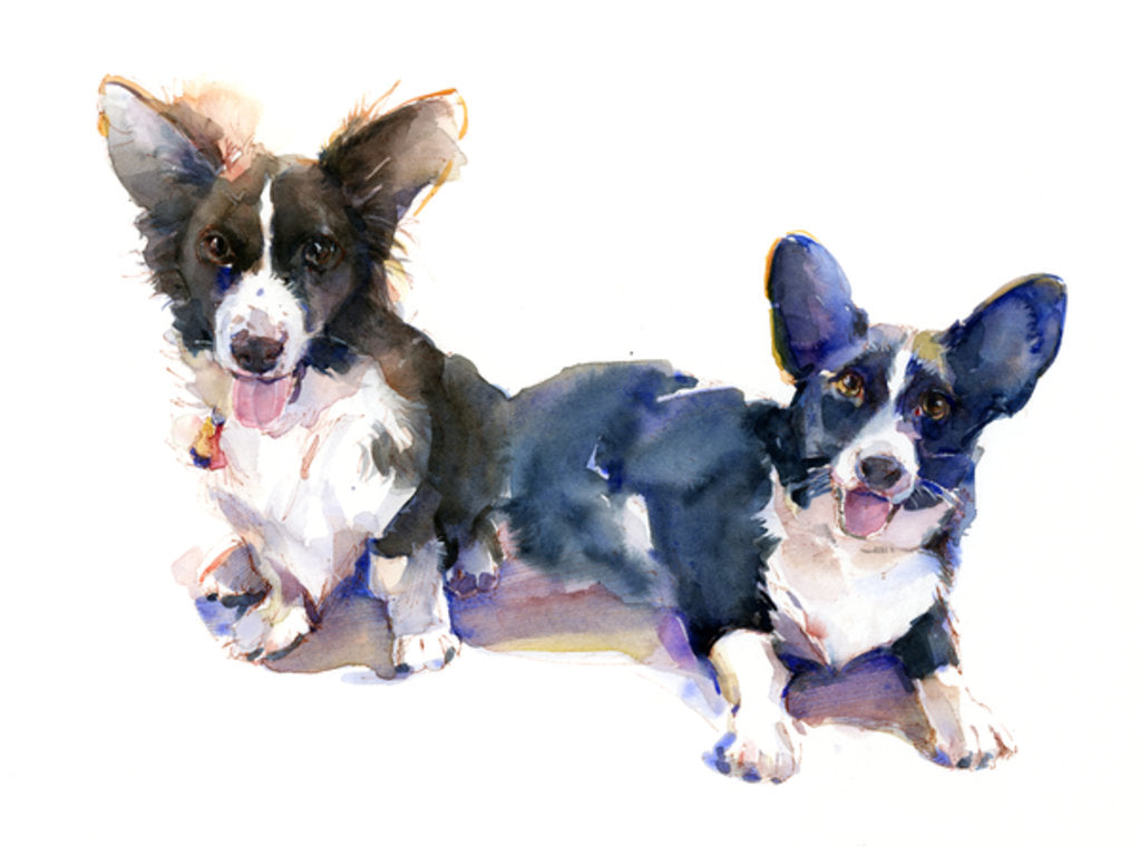Detail of Two Corgis, 2015 by John Keeling