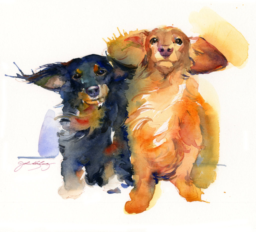 Detail of Dachshund Duo, 2014 by John Keeling