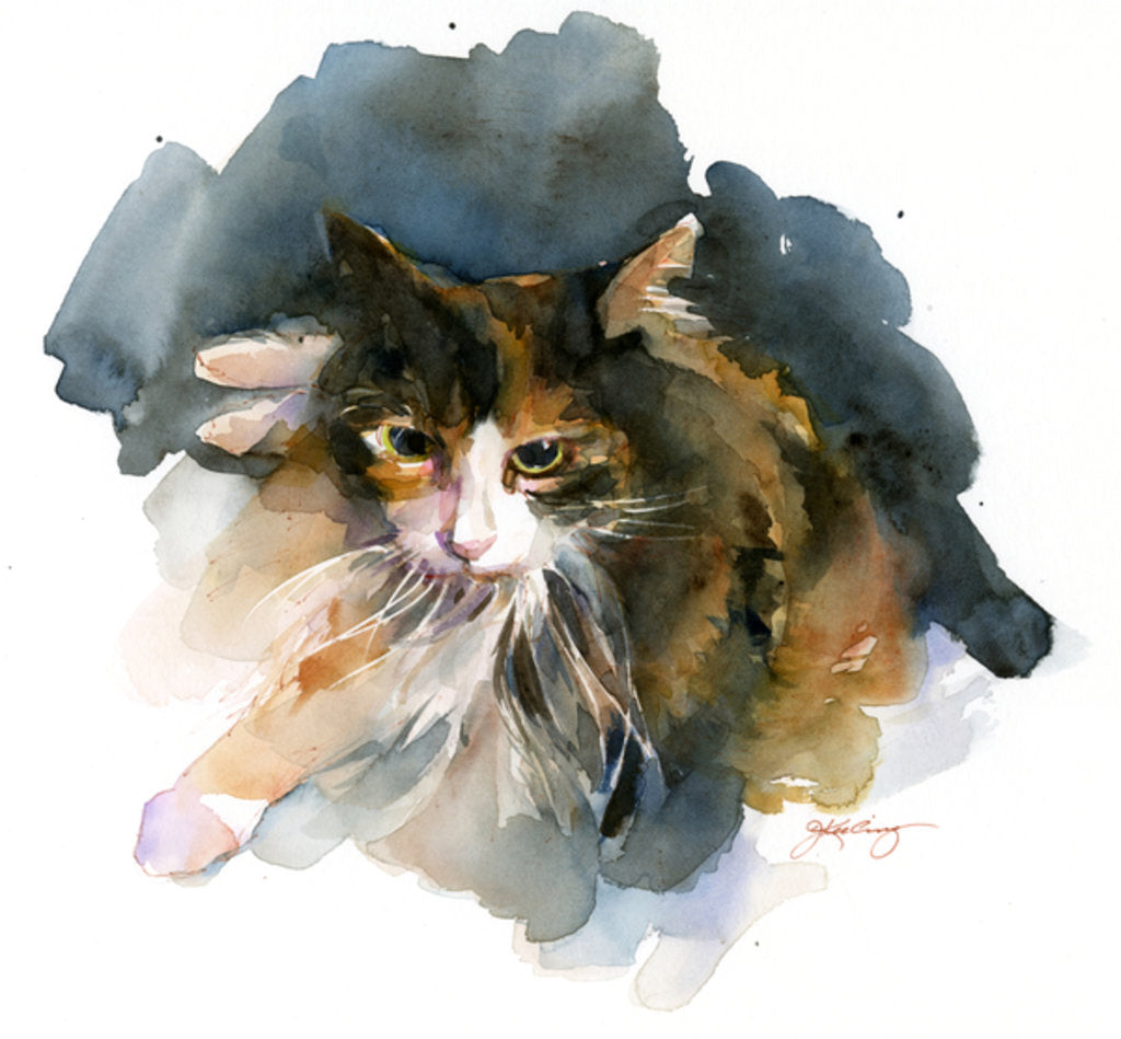 Detail of Calico Cat, 2015 by John Keeling