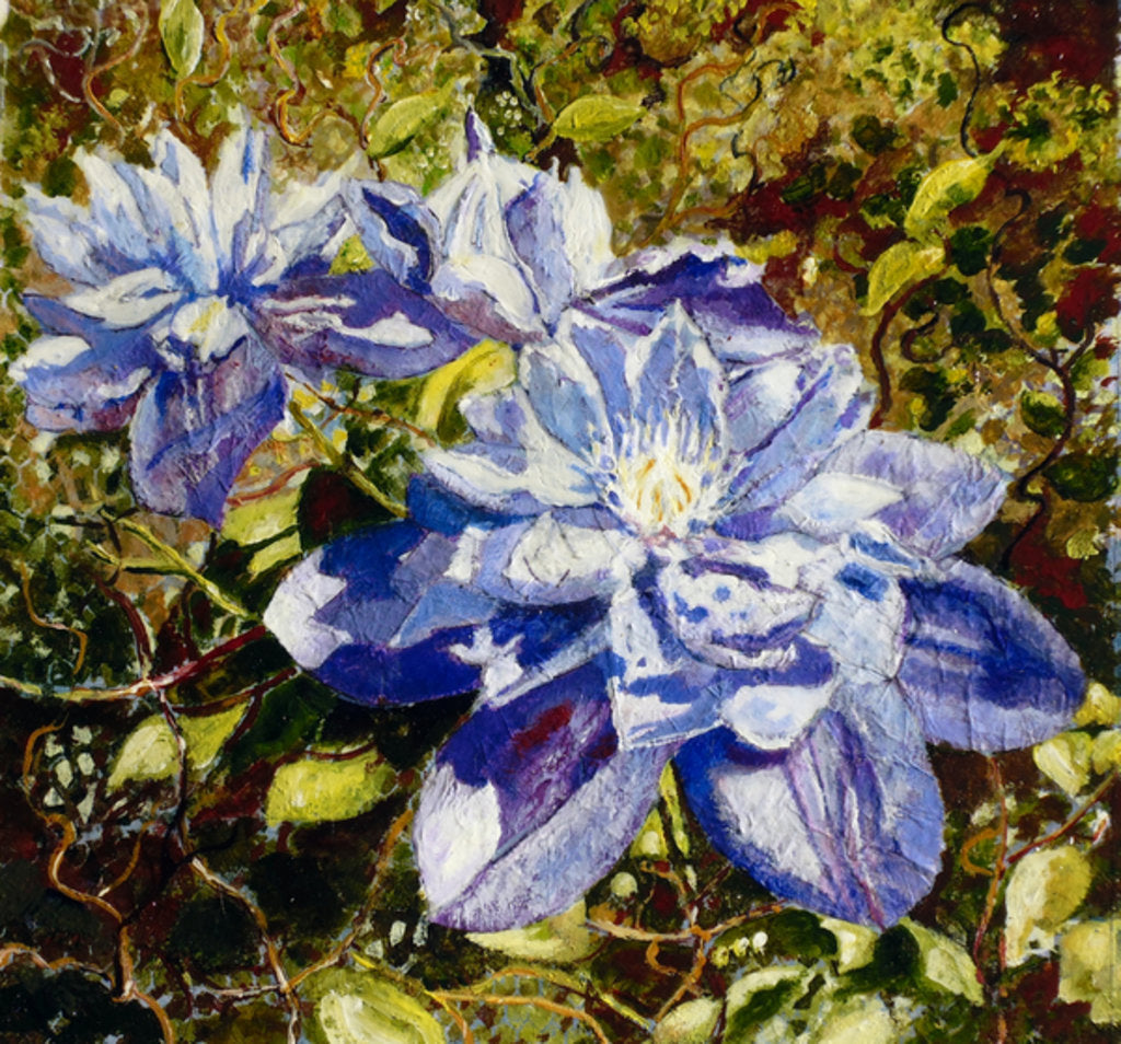 Detail of Clematis, 2015 by Mary Smith