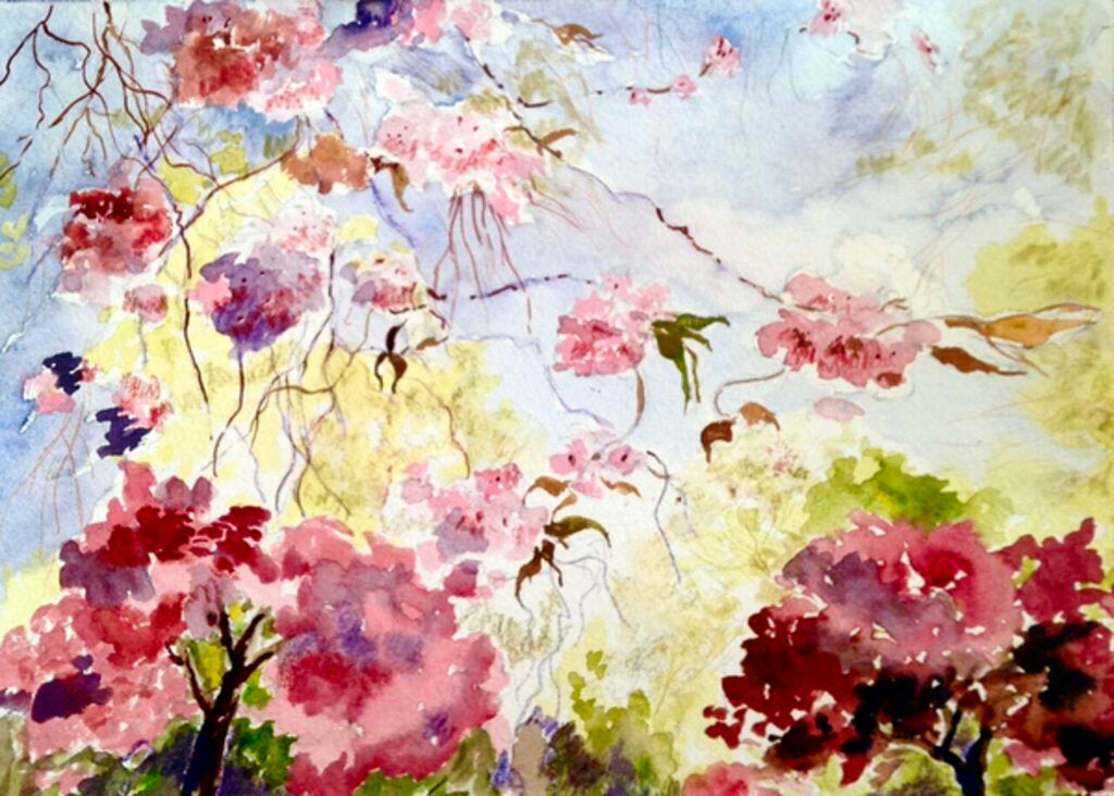 Detail of cherry blossoms in the park, 2017 by Mary Smith