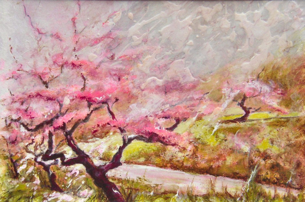 Detail of almond blossom in the mountains, 2017 by Mary Smith