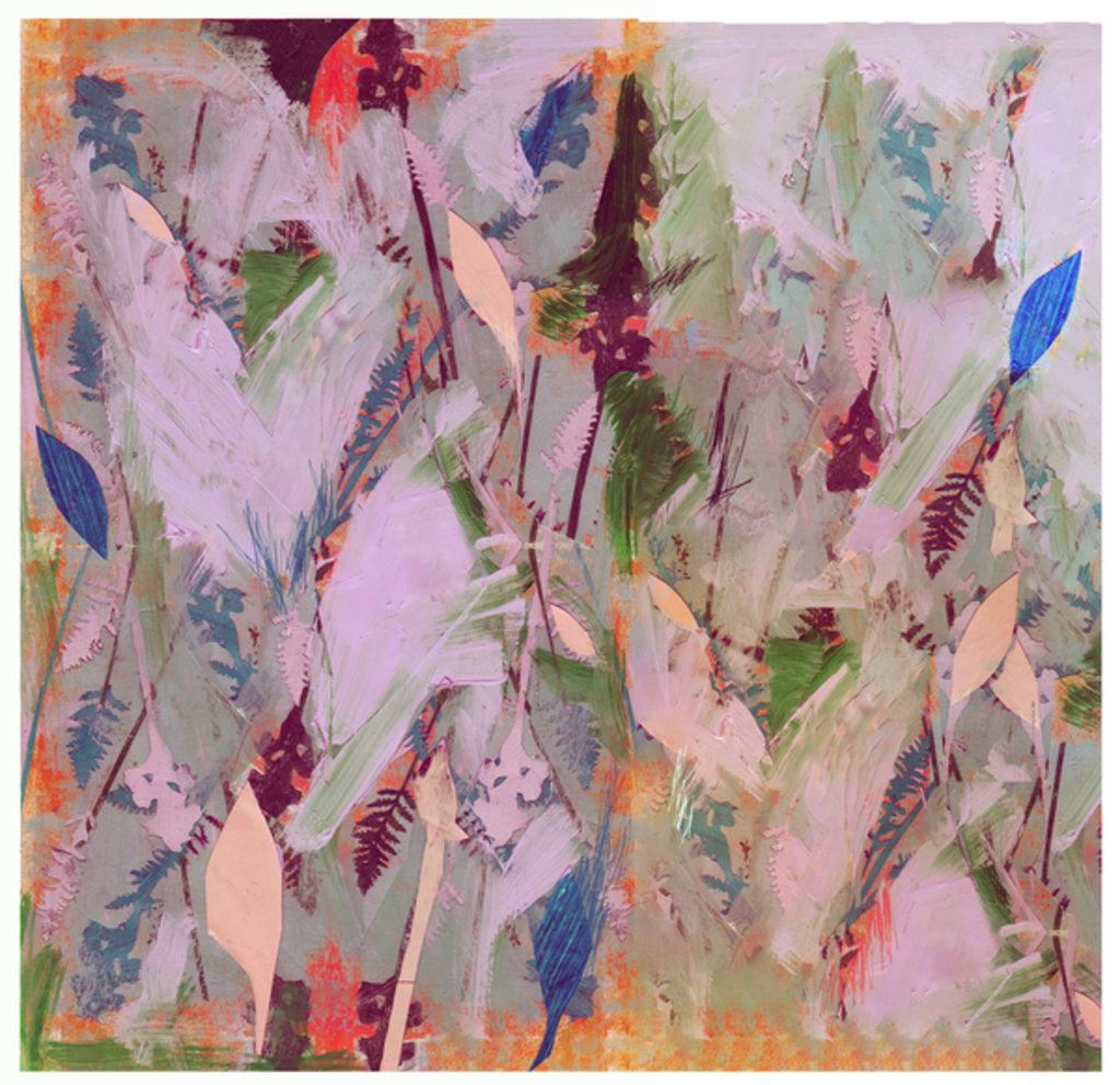 Detail of Botanical Collage # 1, 2017, by David McConochie