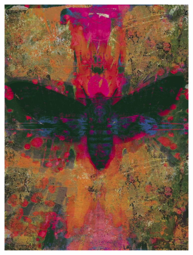 Detail of Death Moth Collage, 2016 by David McConochie