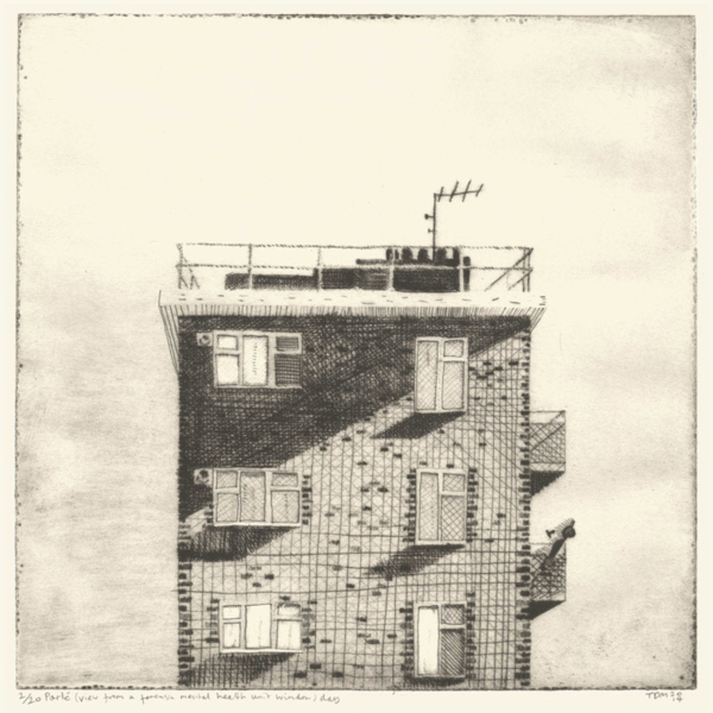 Detail of Parlé), 2014 by Thomas MacGregor