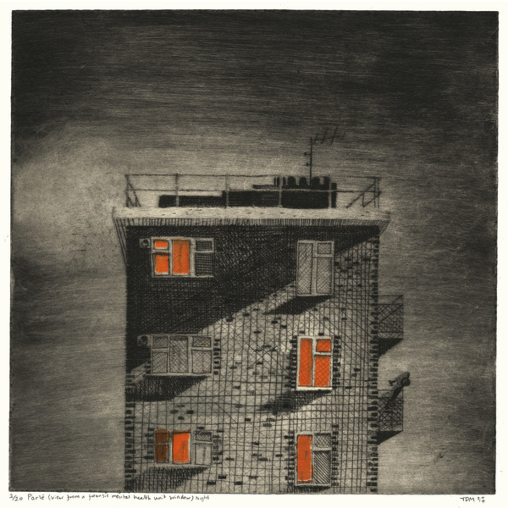 Detail of Parlé), 2014 by Thomas MacGregor