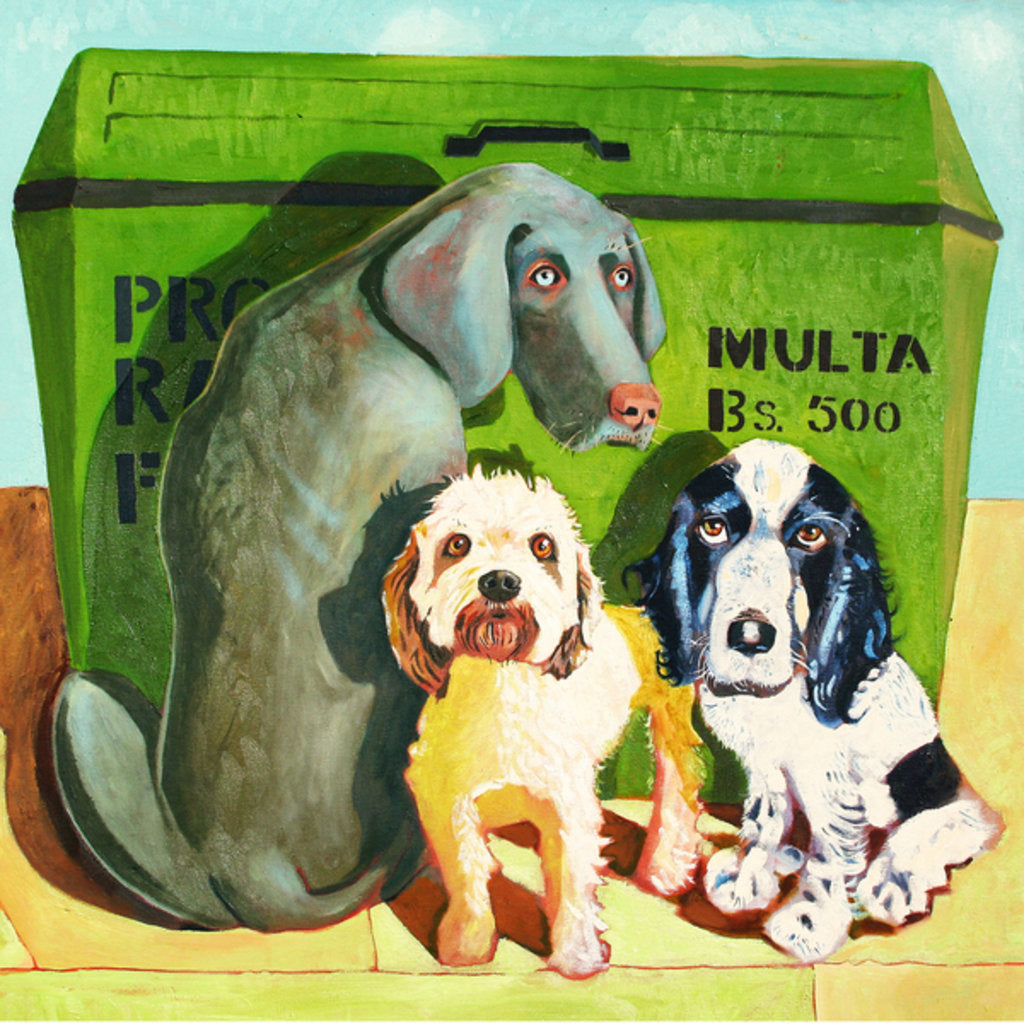 Detail of se Pagan Multas, 2007 by Thomas MacGregor