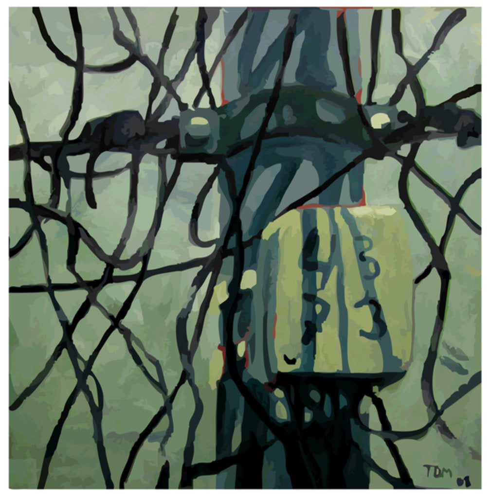 Detail of Alambres, 2009 by Thomas MacGregor