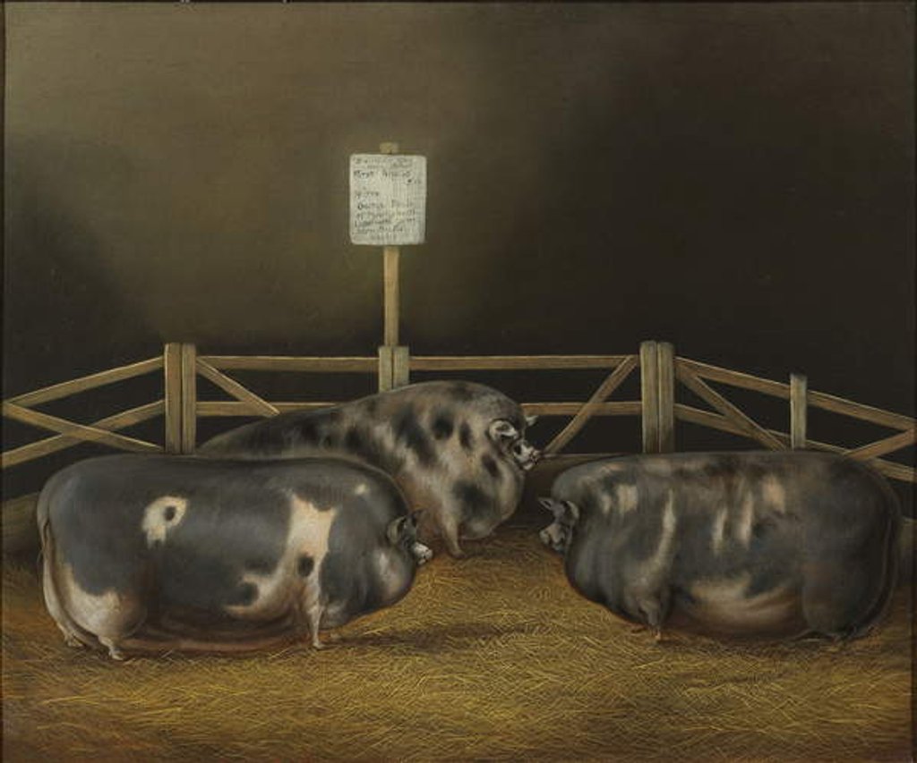 Detail of First prize at Smithfield Club Show £10 by John Vine