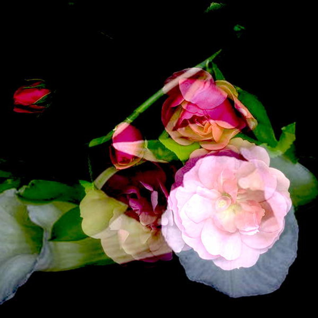 Detail of MY MUM'S FLOWER, 2017 by Linda Arthurs