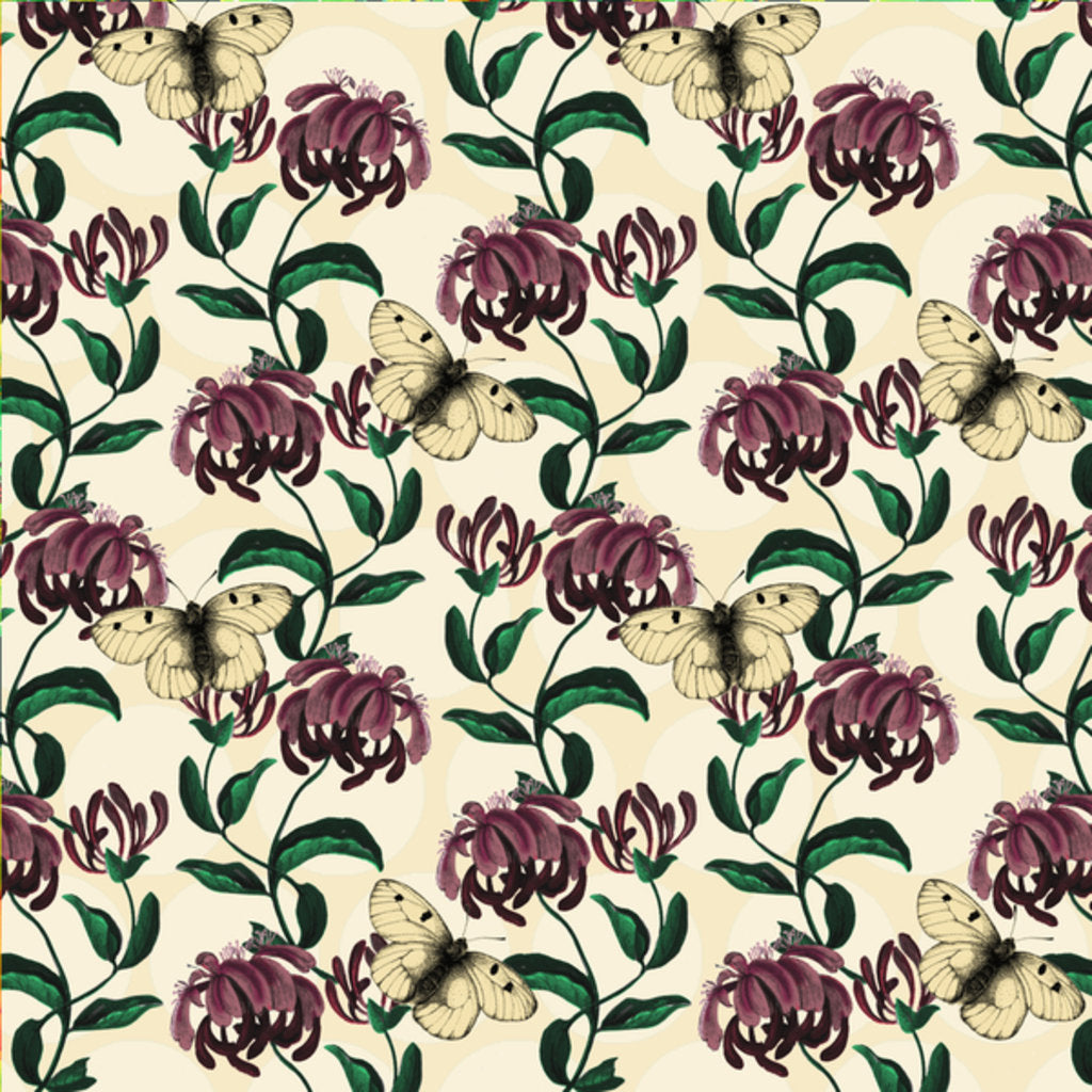 Detail of Honeysuckle with Clouded Apollo-light, 2017 by Andrew Watson