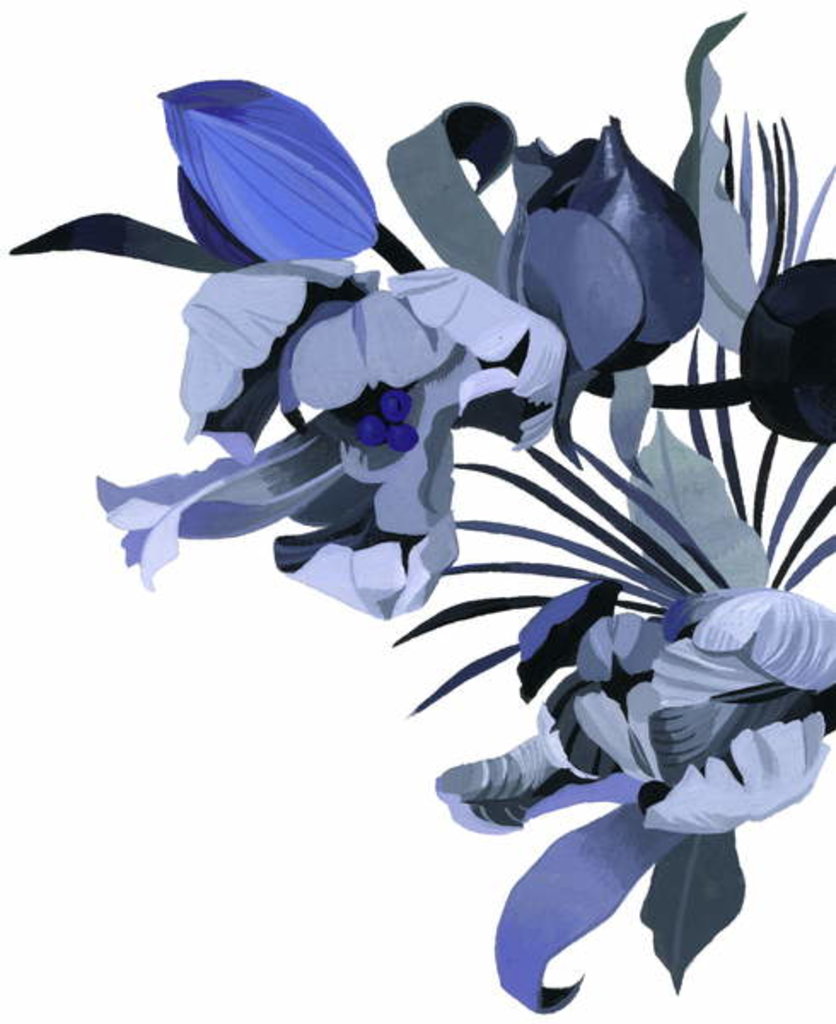 Detail of Tulip drawn in gray tone. by Hiroyuki Izutsu