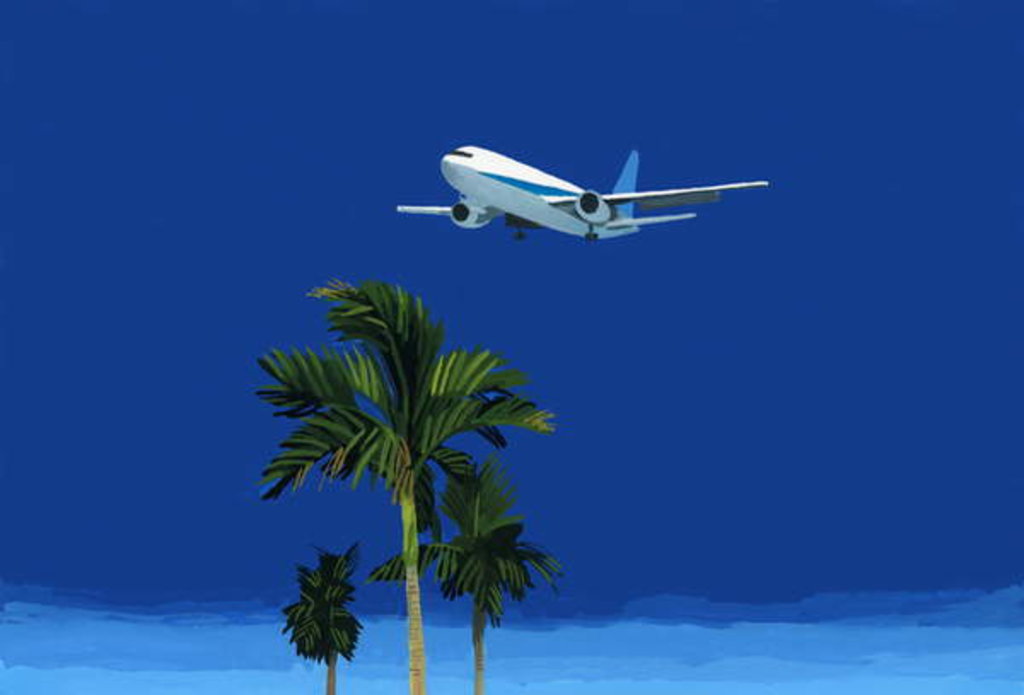 Detail of Airplane and palm tree, 2016 by Hiroyuki Izutsu