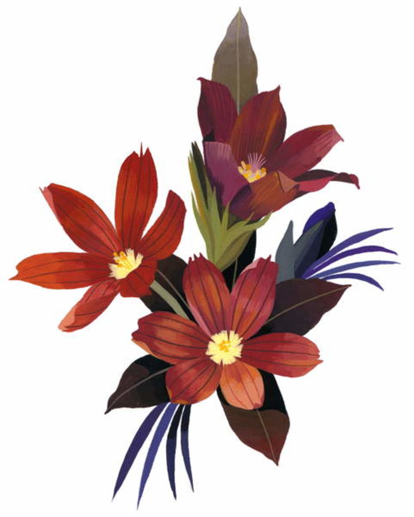 Detail of Arranged Sisyrinchium rosulatum, 2003 by Hiroyuki Izutsu