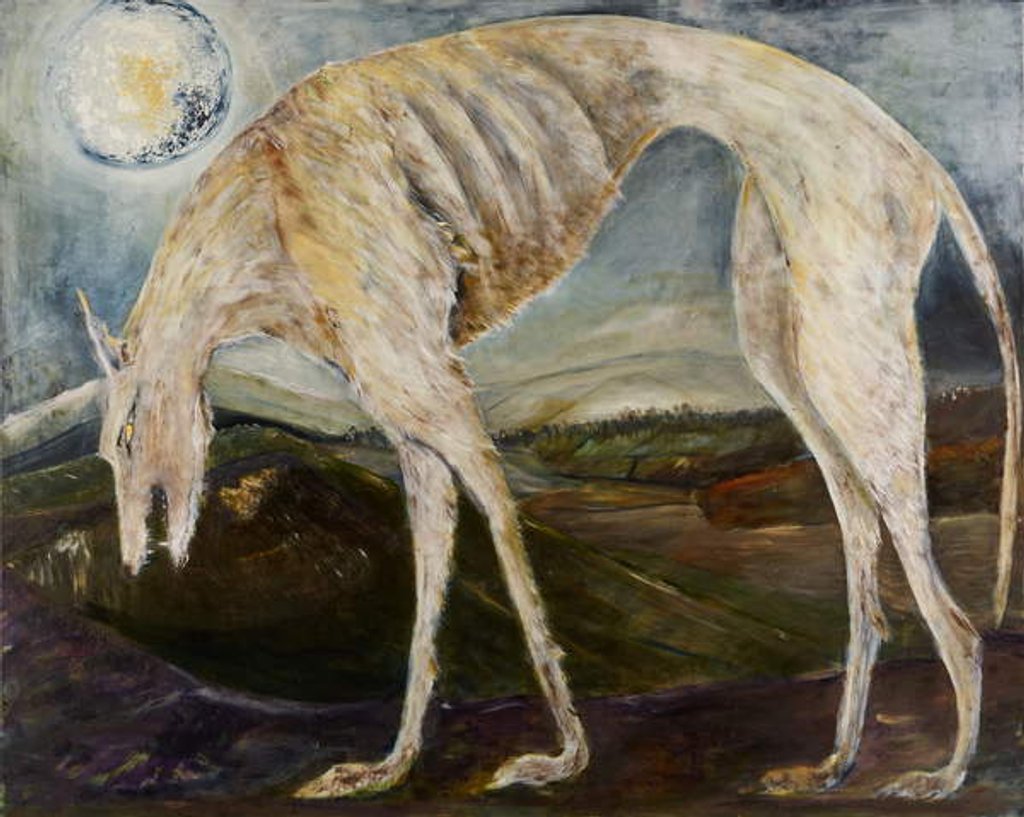 Detail of Gothic Hound, 2017 by jocasta shakespeare