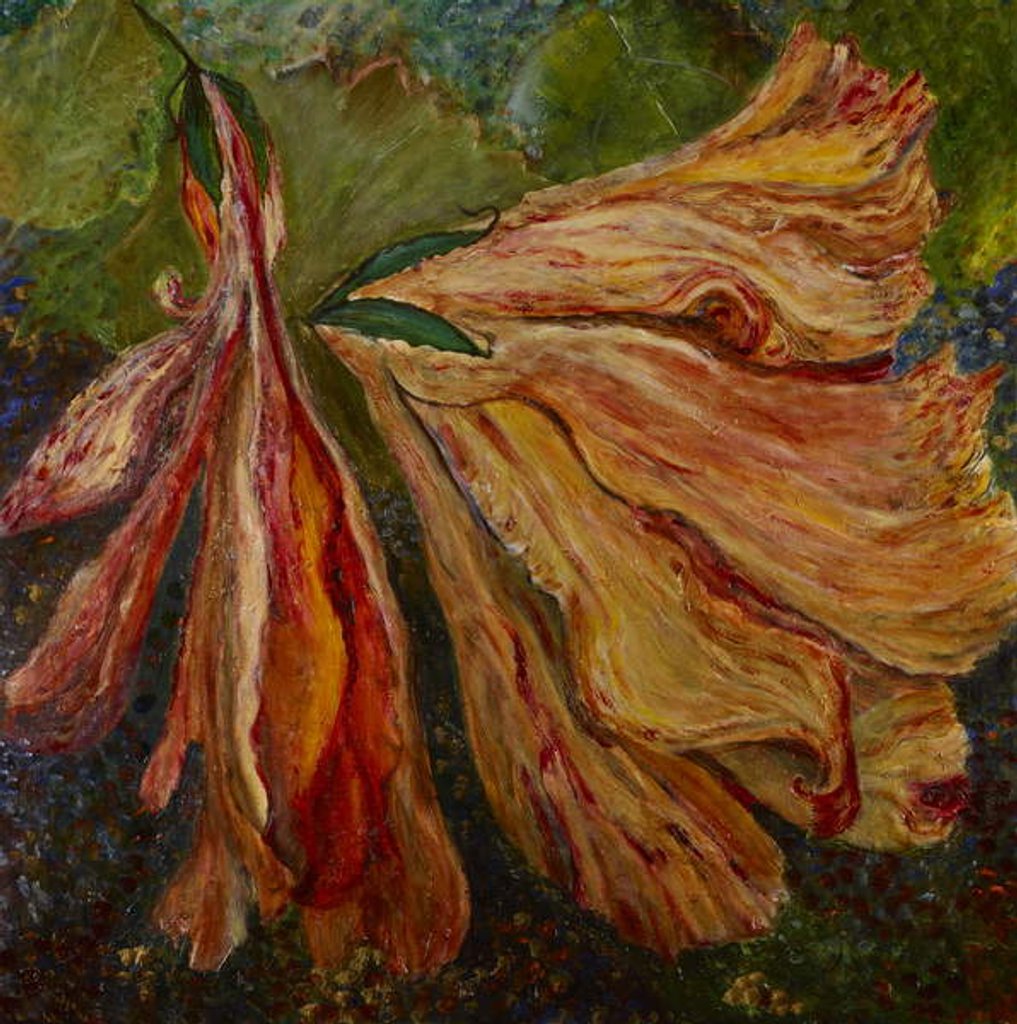 Detail of Hibiscus Wilt, 2017 by jocasta shakespeare