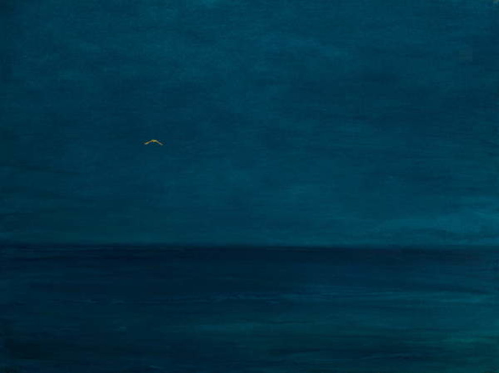 Detail of Silent flight, 2016 by Angus Hampel