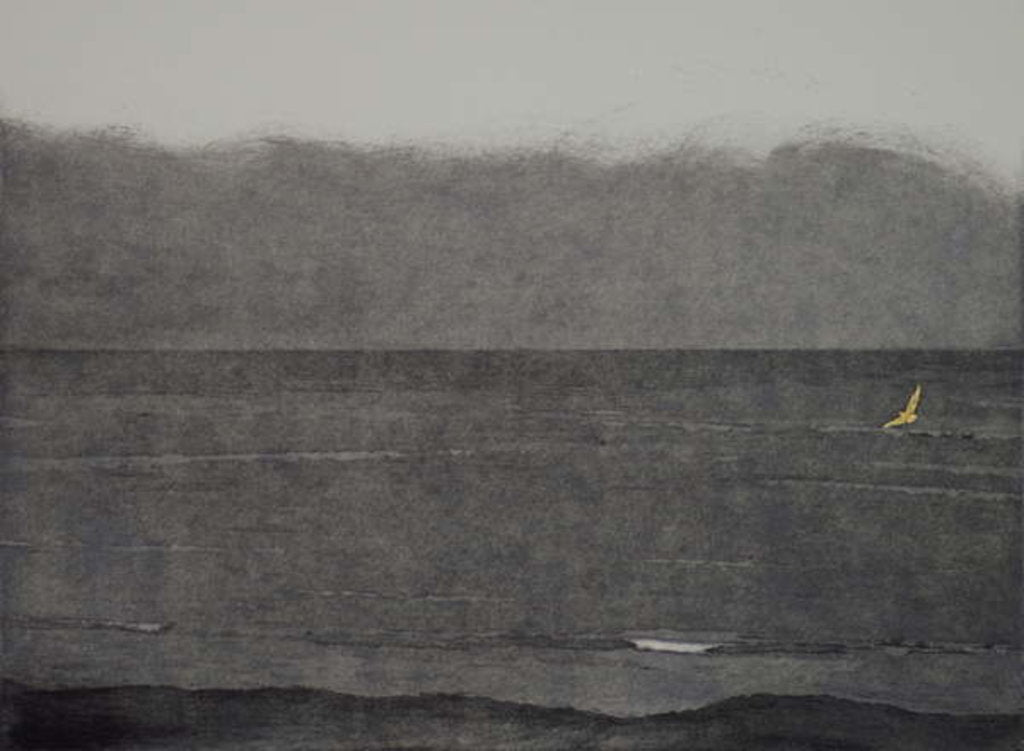 Detail of Silent flight, 2017 by Angus Hampel