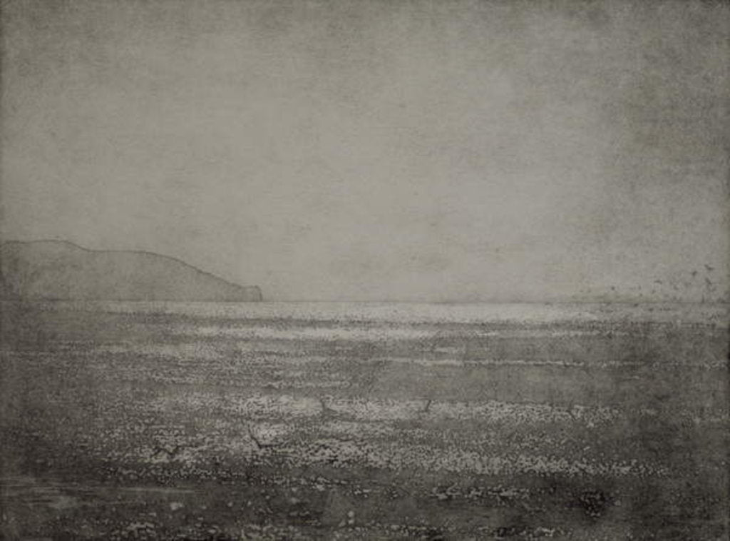 Detail of Play, 2017 by Angus Hampel