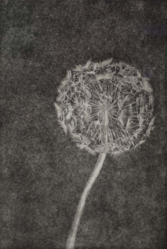 Detail of Watchmaker, 2017 by Angus Hampel