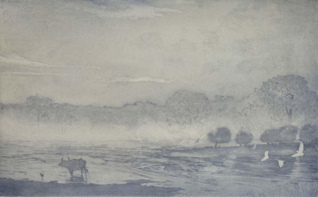 Detail of Three buffalo, 2016 by Angus Hampel