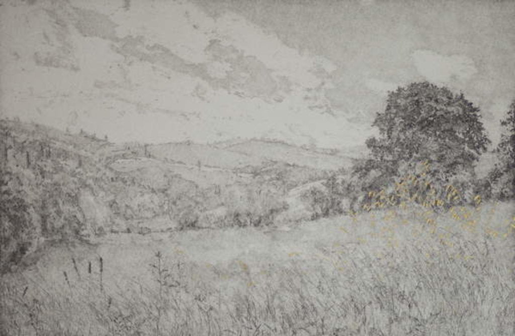 Detail of Golden day, 2016 by Angus Hampel