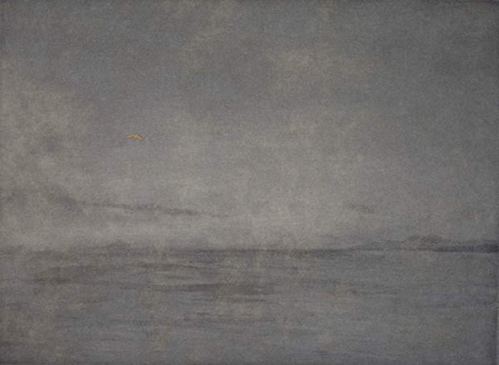 Detail of Soaring high, 2016 by Angus Hampel