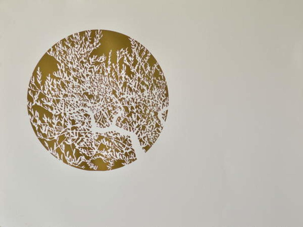 Detail of Hidden wisdom, 2017 by Angus Hampel