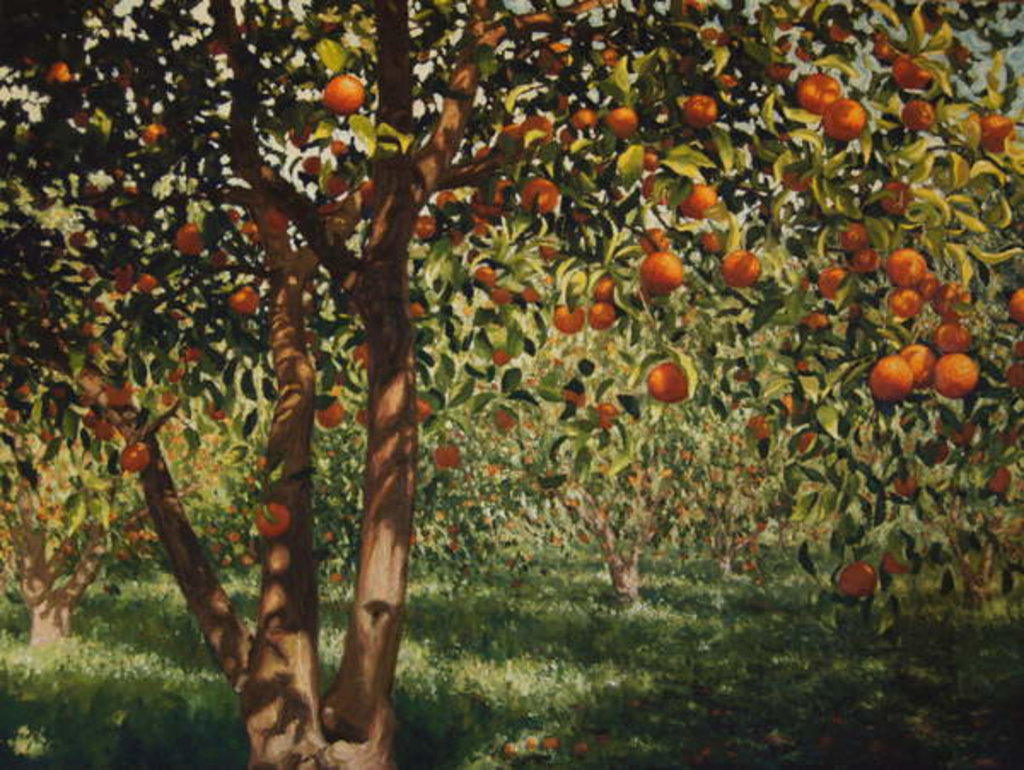 Detail of Silence under the oranges II, 2012 by Angus Hampel