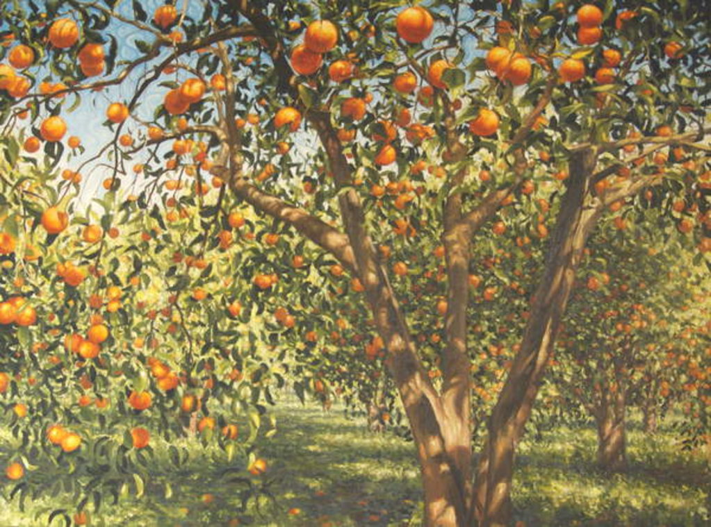 Detail of Silence under the oranges I, 2012 by Angus Hampel