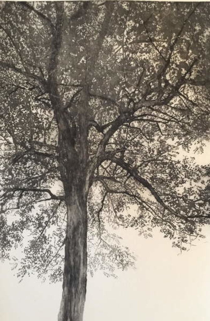 Detail of Portrait of my mother, 2018 by Angus Hampel