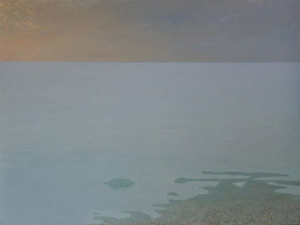 Detail of There is so much more, 2019 by Angus Hampel