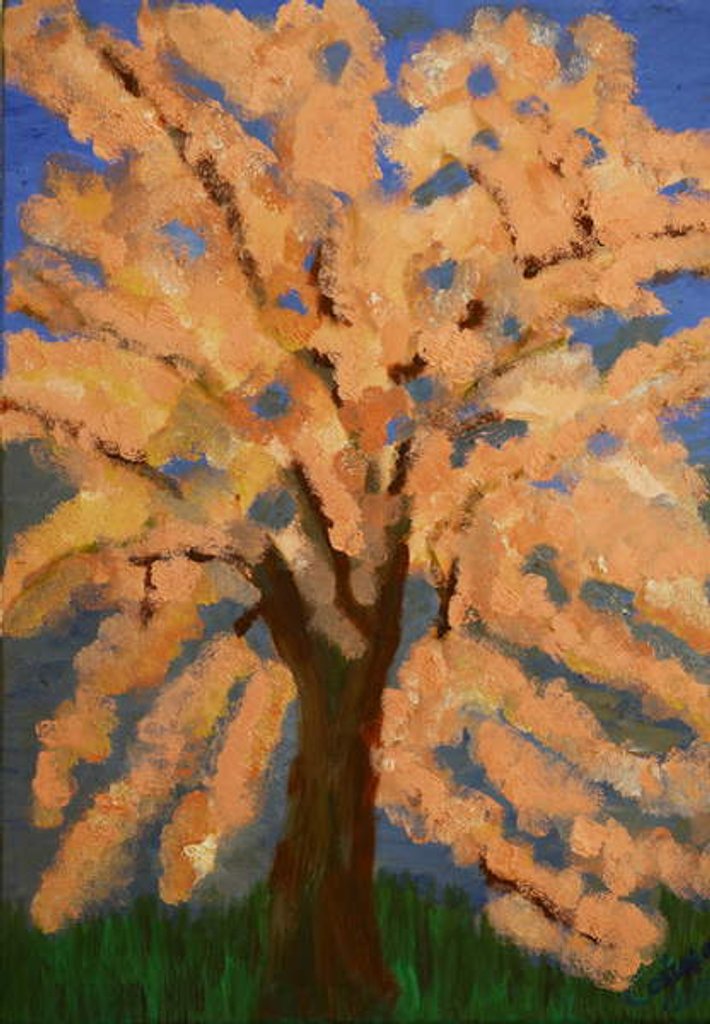 Detail of Cherry blossom, Spring London, 2016 by Cosima Duggal