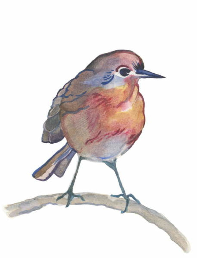 Detail of Robin, 2017 by Elizabeth Rider