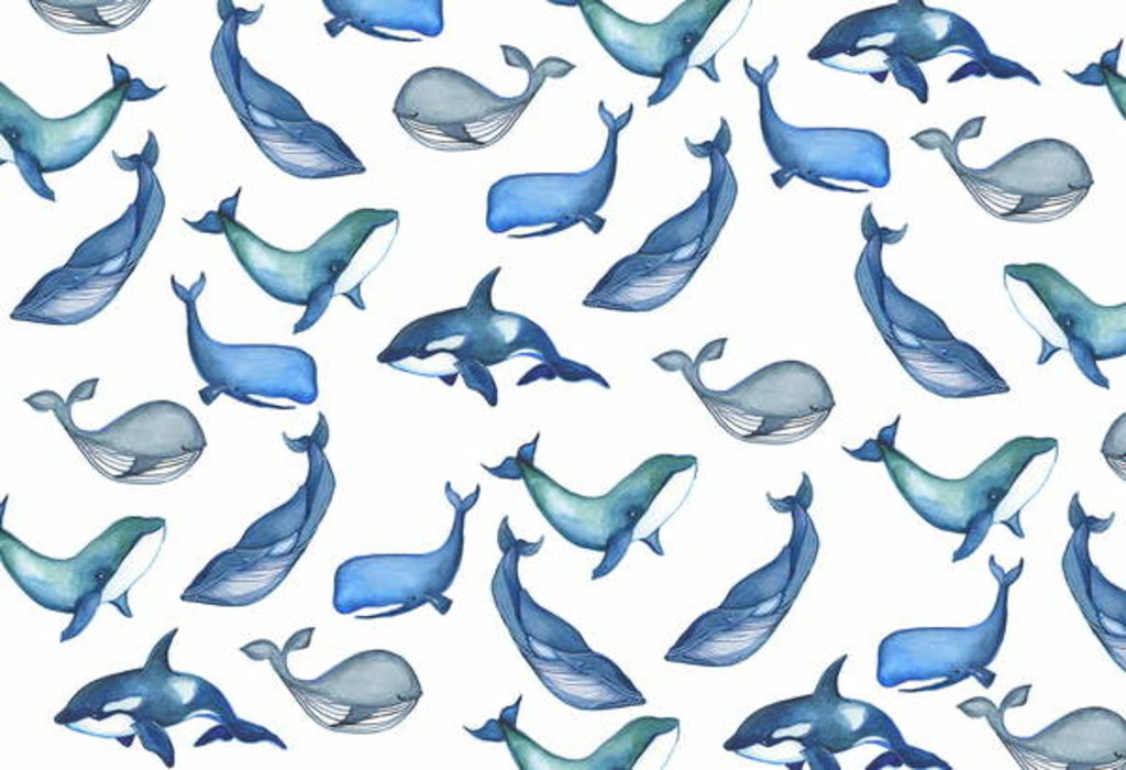 Detail of Whales, 2017 by Elizabeth Rider