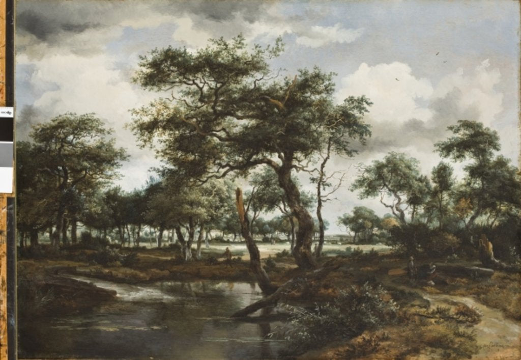 Detail of A Pond in the Forest, 1668 by Meindert Hobbema