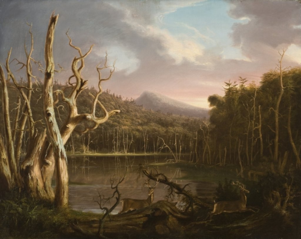 Detail of Lake with Dead Trees by Thomas Cole
