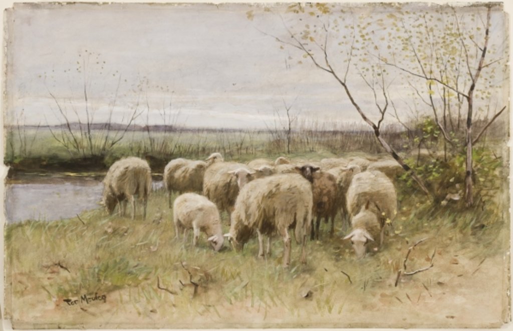Detail of Sheep by Francois Pieter ter Meulen