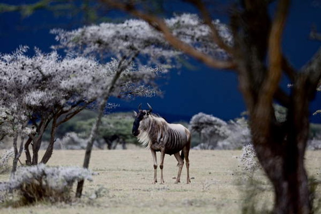 Detail of Storm Coming, 2018 by Eric Meyer