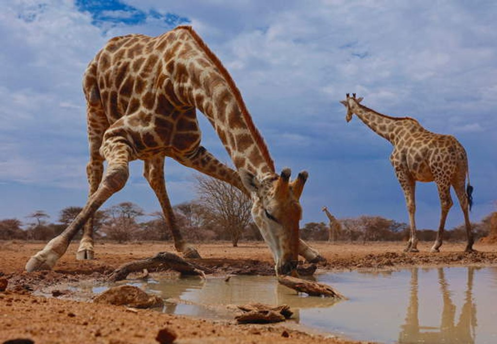 Detail of Getting Down, 2019 by Eric Meyer