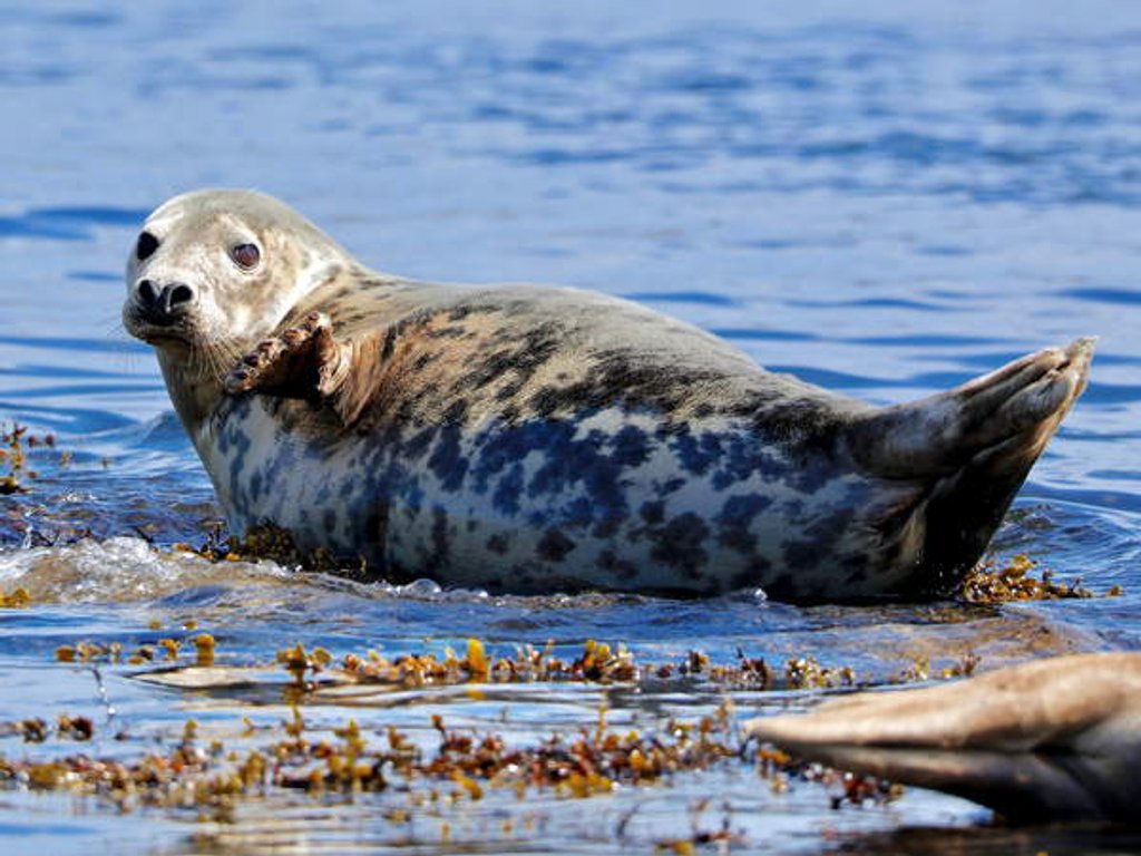 Detail of Grey ?, 2019 by Eric Meyer