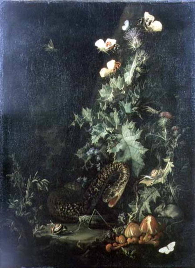 Detail of Still Life with a Snake by Elias van den Broeck