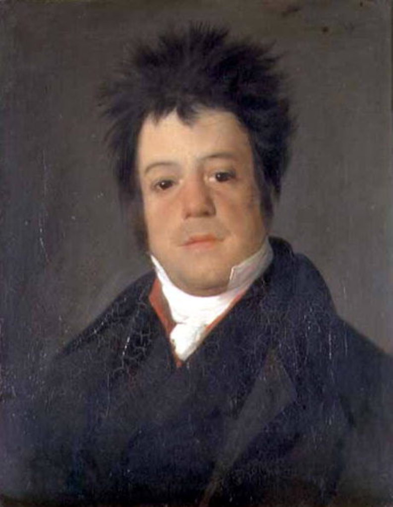 Detail of Portrait of Andriano Ribera Neves, 19th century by Domingos Antonio de Sequeira