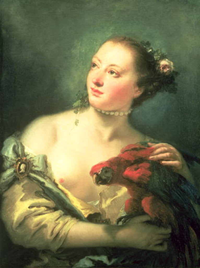 Detail of A Young Woman With a Macaw, 18th century by Giovanni Battista Tiepolo