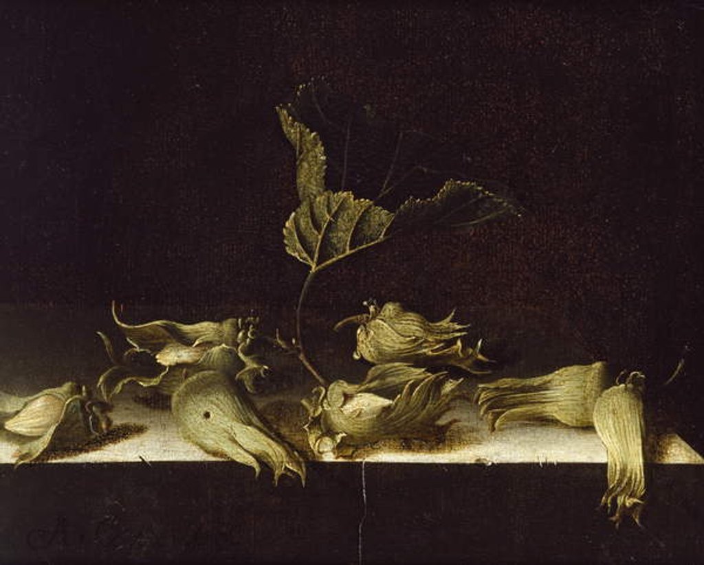 Detail of Still Life with Hazel-nuts, 1696 by Adrian Coorte